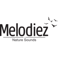 MELODIEZ logo