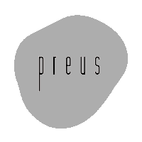 PREUS logo