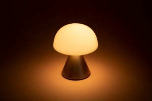 MINA OPLAADBAAR LEDLAMP SMALL SOFT GOLD