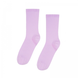 ORGANIC SOCKS SOFT LAVENDER