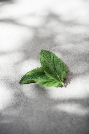 AFWASZEEP MINTY MOMENTS 