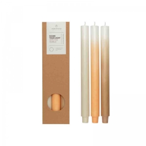 GRADIENT KAARSEN - SET VAN 3 MEADOW