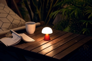 MINA OPLAADBAAR LEDLAMP SMALL RED