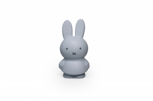 NIJNTJE SPAARPOT - SILVER BLUE - H13,5cm-7,2cm SILVER BLUE