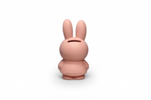 NIJNTJE SPAARPOT - POWDER - H13,5cm-7,2cm POWDER