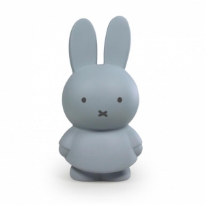 NIJNTJE SPAARPOT - SILVER BLUE - H19cm-10cm SILVER BLUE