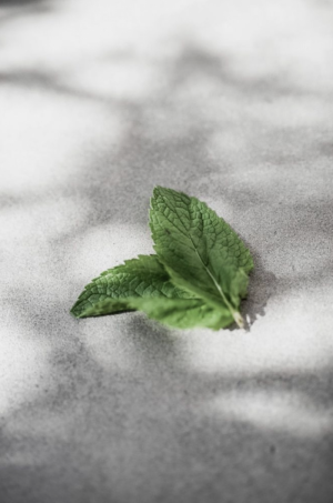 AFWASZEEP MINTY MOMENTS 