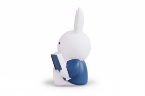 NIJNTJE LEEST SPAARPOT - BLAUW - H 19cm - Ø 10 CM 