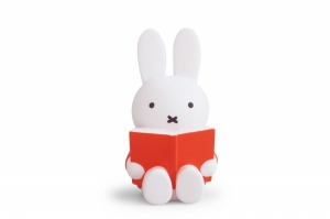 NIJNTJE LEEST SPAARPOT - ROOD - H 19cm - Ø 10 CM