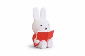 NIJNTJE LEEST SPAARPOT - ROOD - H 19cm - Ø 10 CM