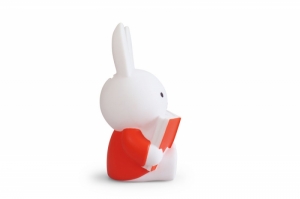 NIJNTJE LEEST SPAARPOT - ROOD - H 19cm - Ø 10 CM