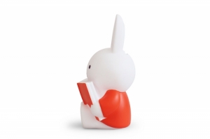 NIJNTJE LEEST SPAARPOT - ROOD - H 19cm - Ø 10 CM 
