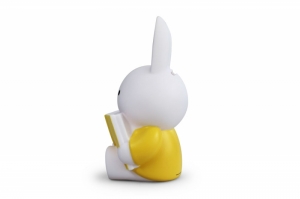 NIJNTJE LEEST SPAARPOT - LEEST - H 19cm - Ø 10 CM
