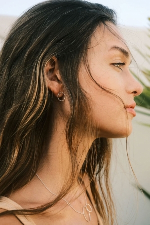 SMALL CIRCLE EARRINGS ZILVER