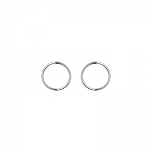SMALL CIRCLE EARRINGS ZILVER
