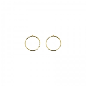 SMALL CIRCLE EARRINGS GOUD