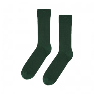 CLASSIC ORGANIC SOCKS EMERALD GREEN