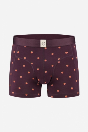 MANUS - BOXER BRIEF 