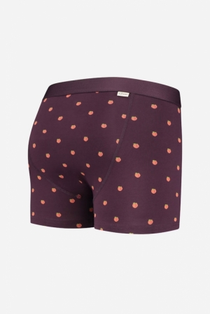 MANUS - BOXER BRIEF 