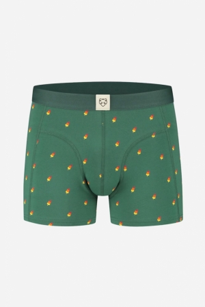 OLIVER - BOXER BRIEF 