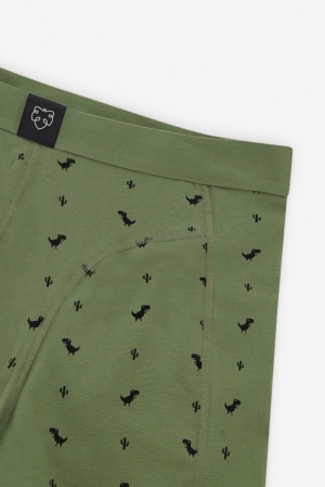 8BIT DINO - BOXER BRIEF KAKI
