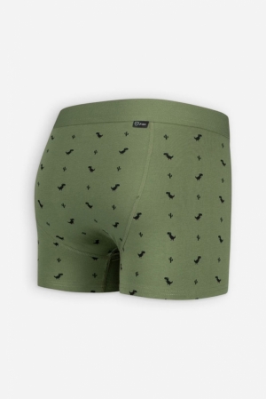 8BIT DINO - BOXER BRIEF KAKI