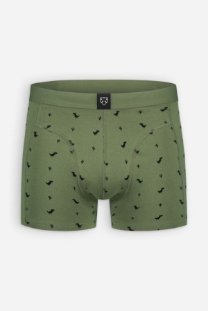 8BIT DINO - BOXER BRIEF KAKI