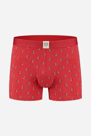 SHARKY - BOXER BRIEF 