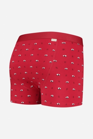 RAY- BOXER BRIEF 