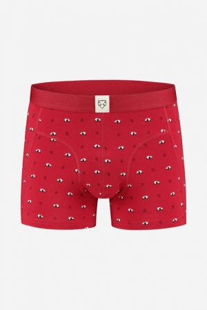 RAY- BOXER BRIEF 