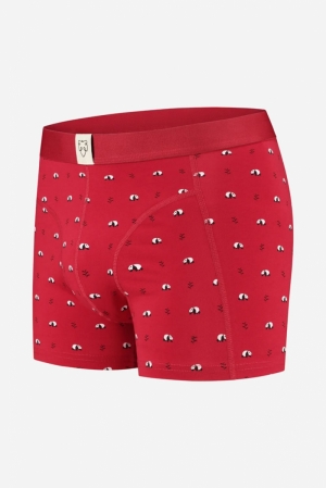 RAY- BOXER BRIEF 