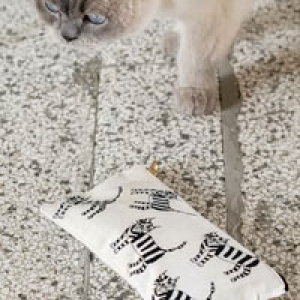 PENNENZAK - CAT 