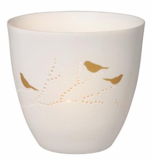 POETRY LIGHT BIRDS 