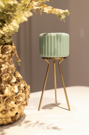 DENTELLES TRIPOD GOUD GOUD