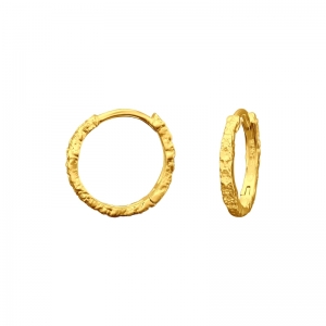 HUGIES CIRKELS - 925 SILVER EAR STUDS - GOUD VERGULD + E-COAT GOUD