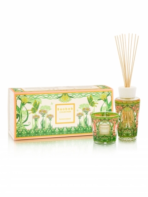 MY FIRST BAOBAB - TOMORROWLAND 2024 - GIFTBOX 