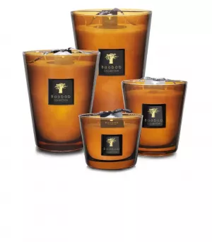 CUIR DE RUSSIE - MAX 10 