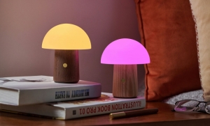 ALICE MUSHROOM LAMP - MINI WALNUT 