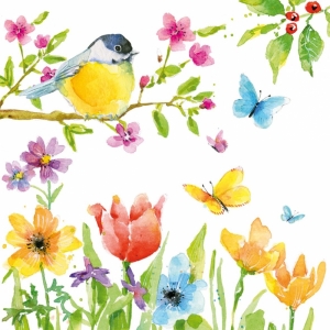 SPRING BIRD 33X33 