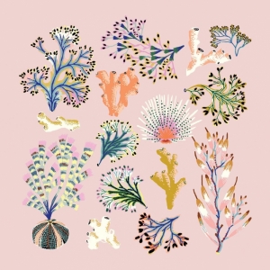 PARADISIO CORAL 33X33 