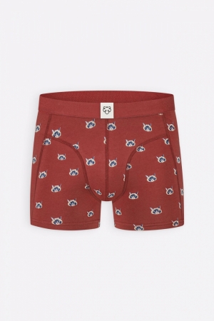 CATFACE - BOXER BRIEF STONE RED