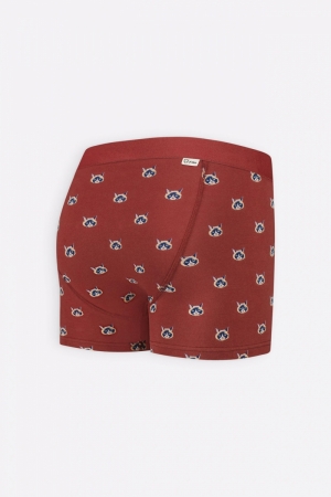 CATFACE - BOXER BRIEF STONE RED
