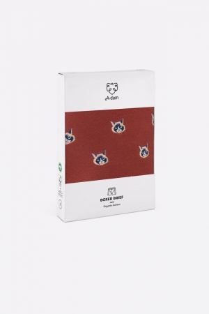 CATFACE - BOXER BRIEF STONE RED