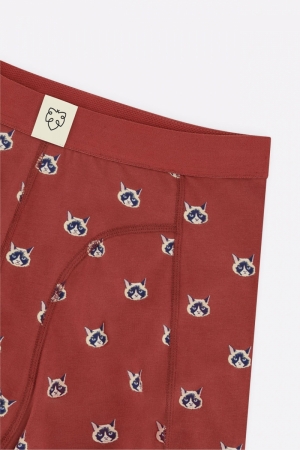 CATFACE - BOXER BRIEF STONE RED