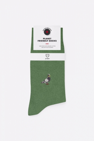 CASUAL SOCKS PIGEON GREEN