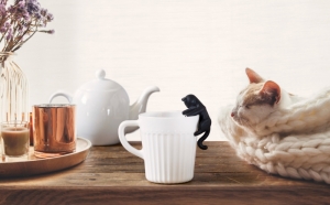 CATTEA ZWART