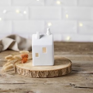 LIGHT HOUSE CAT 