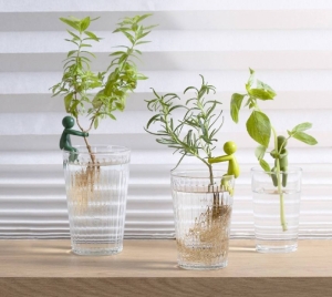 LEAFRIEND - PLANT PROPAGATION BUDDY 