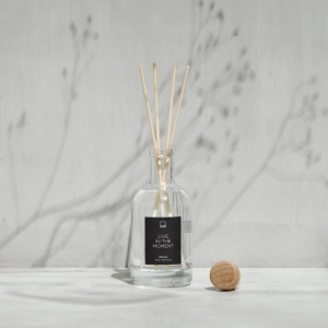 DIFFUSER MINTY MOMENTS - LIVE IN THE MOMENT 