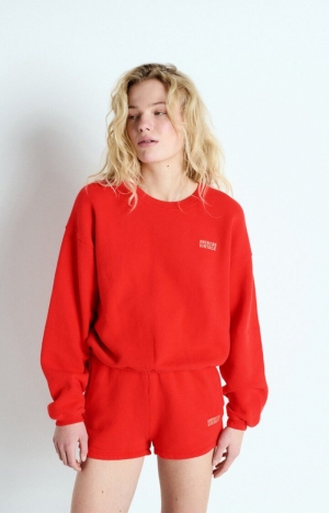 IZUBIRD FRAISE VIN
